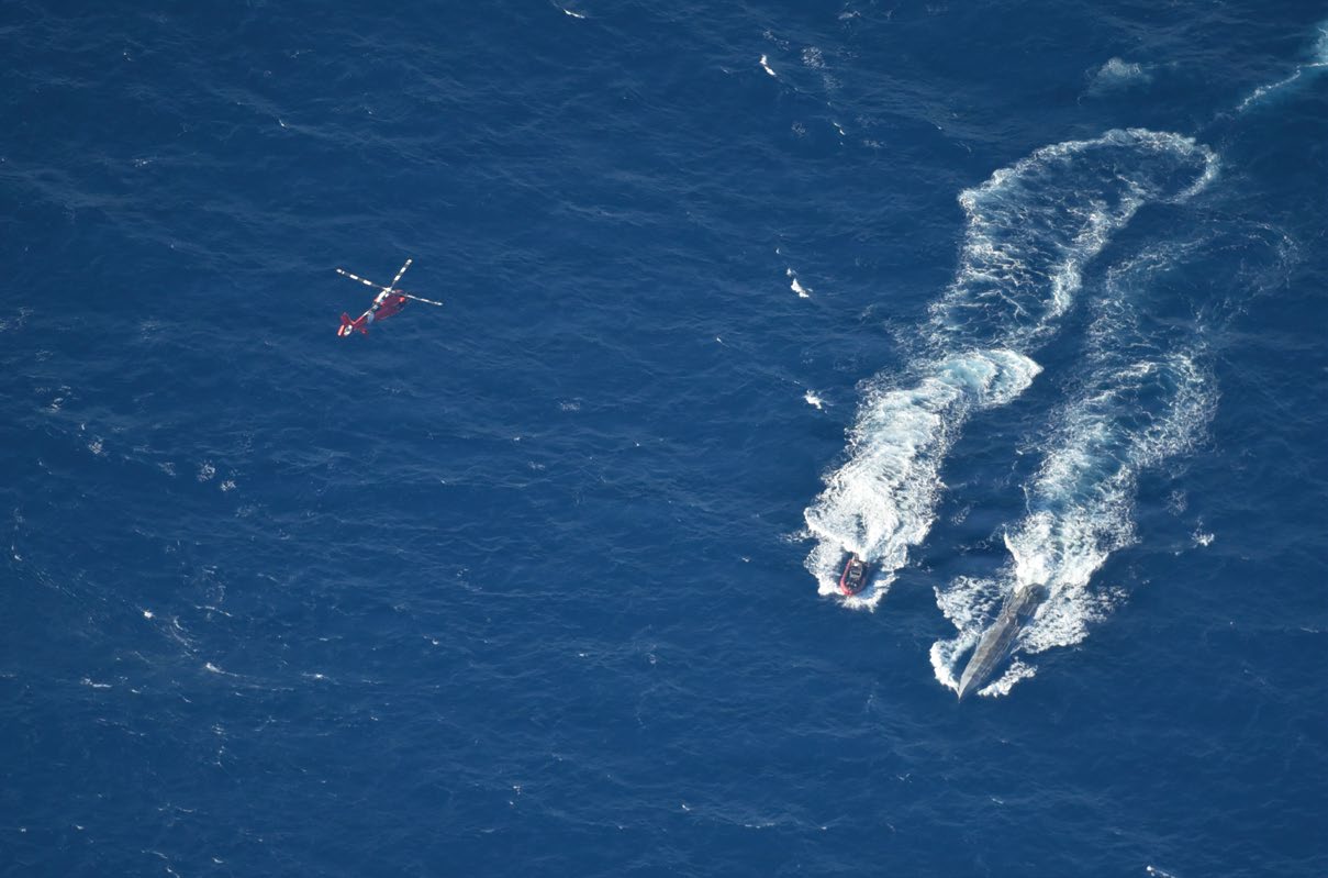 A U.S. Navy P-3 Orion oversees a HITRON MH-65 Dolphin and Coast Guard Cutter ForwardOver-the-Horizon boat on scene with a Self-Propelled Semi-Submersible in the Eastern Pacific Ocean, February 24, 2026. (U.S. Navy courtesy photo)